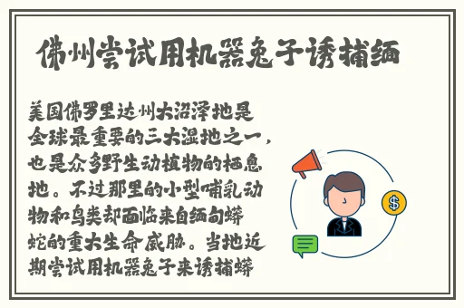 **国产在线观看1